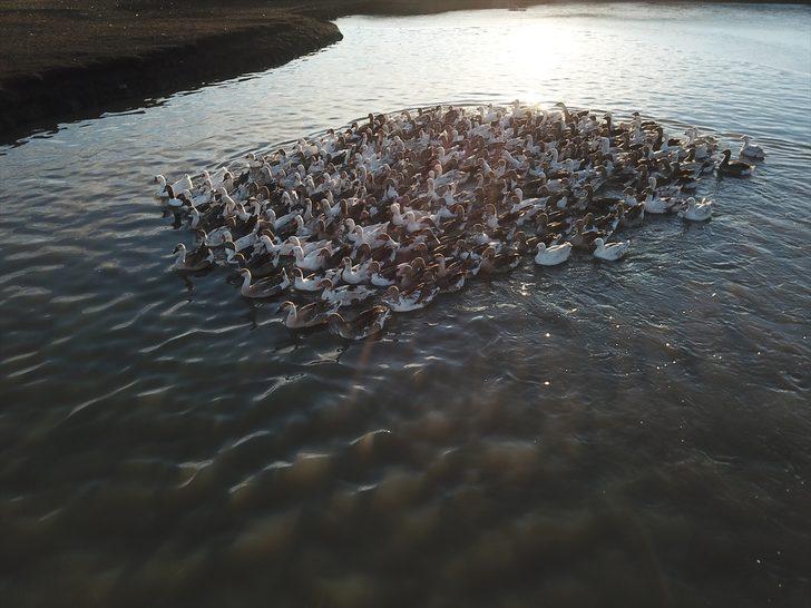 En iyisi orada yetişiyor! Lezzetli olsun diye... G4