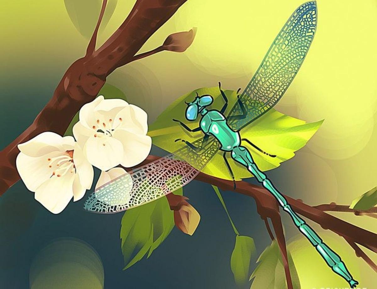 Resimlerdeki yanlışlıkları 1 dakikada anlayabilecek misiniz?