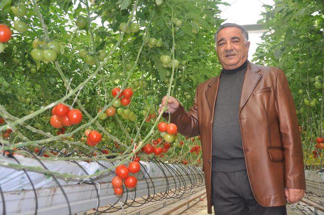 Jeotermale yatırım yaptı, hayal kırıklığı yaşadı