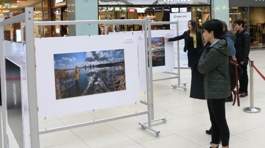 Enerjisini doğadan alan fotoğraflar 500 bin kişiyle buluştu