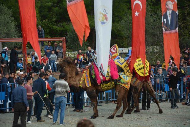 Develer Ortaca’da güreşti