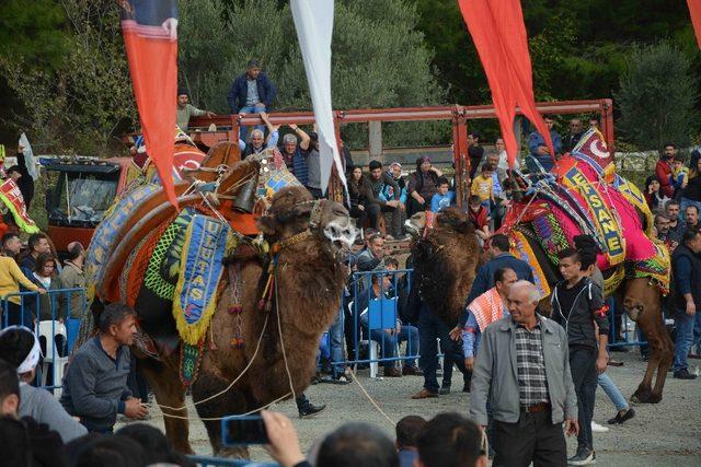 Develer Ortaca’da güreşti