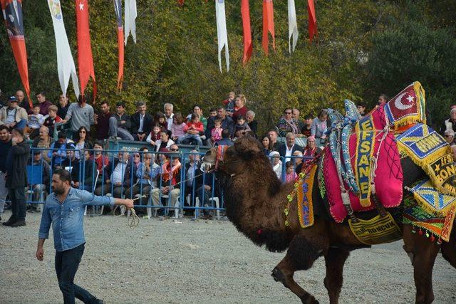 Develer Ortaca’da güreşti