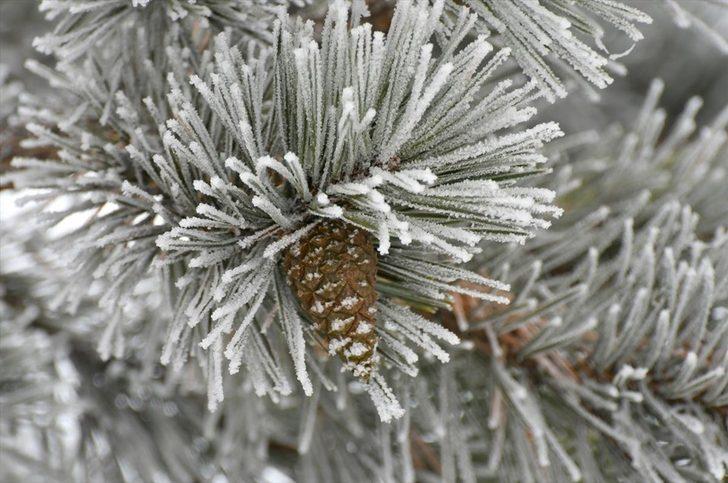 Cıbıltepe'de sezonun ilk kayağı  G4