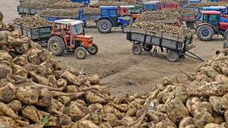MHP'li vekil uyardı: Geleceğimiz için çok tehlikeli