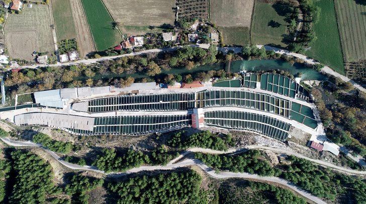 Muğla'da yetiştirilen alabalığa yabancı ilgisi G5