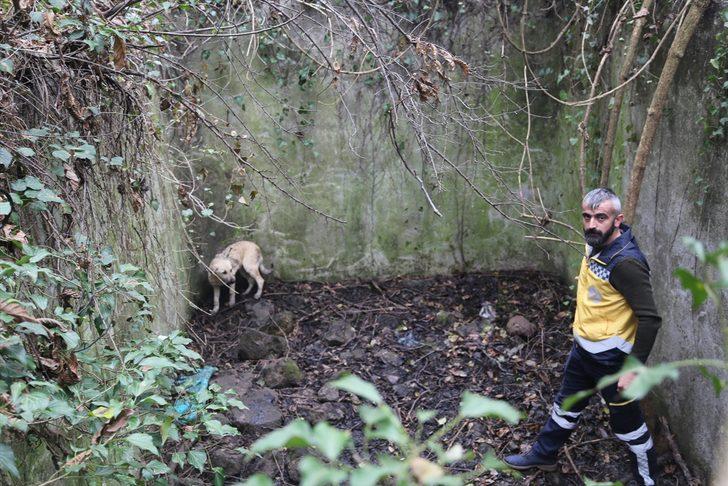 Sulama kanalına düşen köpek 2 gün sonra kurtarıldı  G1