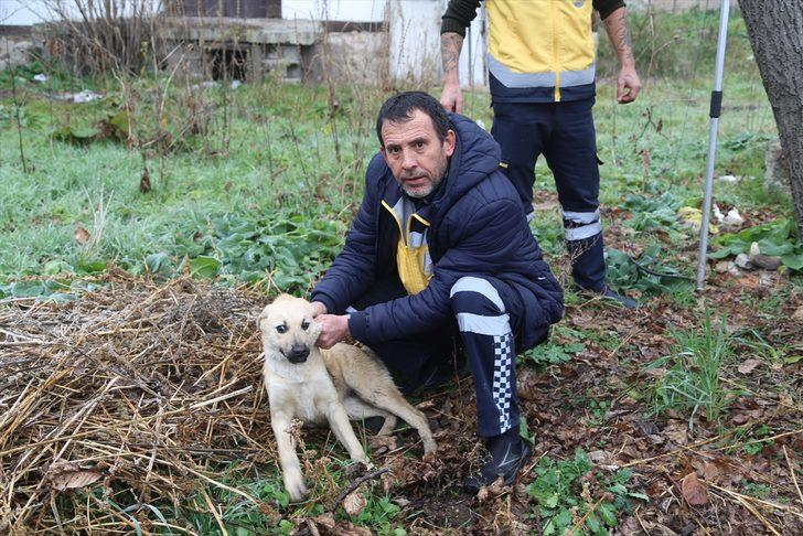 Sulama kanalına düşen köpek 2 gün sonra kurtarıldı  G2