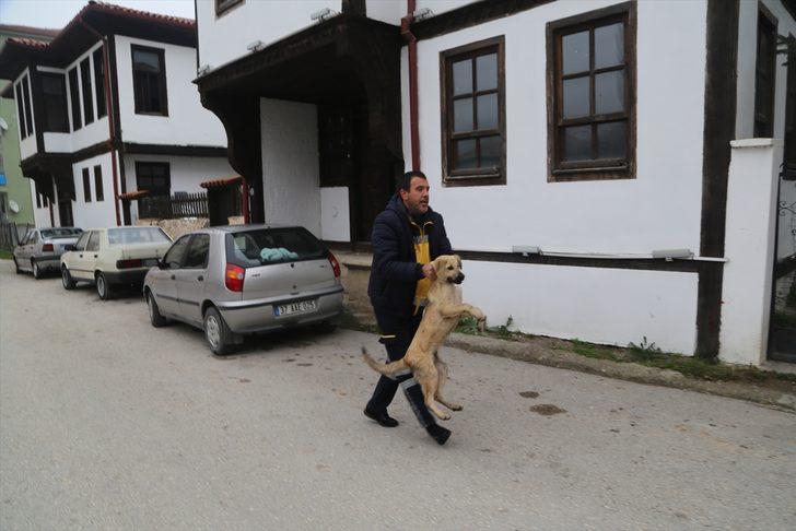 Sulama kanalına düşen köpek 2 gün sonra kurtarıldı  G3