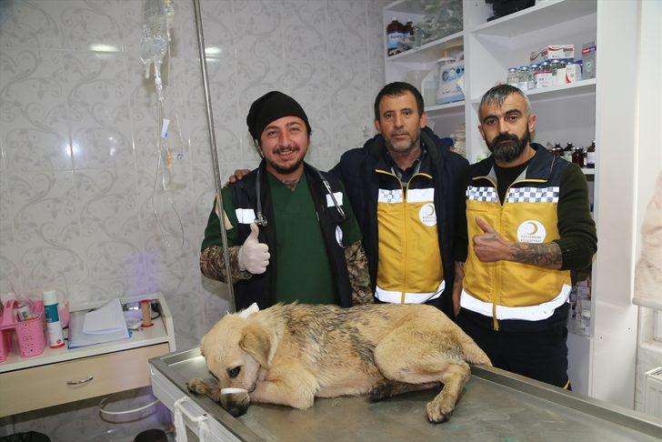 Sulama kanalına düşen köpek 2 gün sonra kurtarıldı  G5