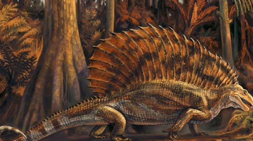 ABD'de 300 milyon yıllık otobur sürüngen fosili bulundu