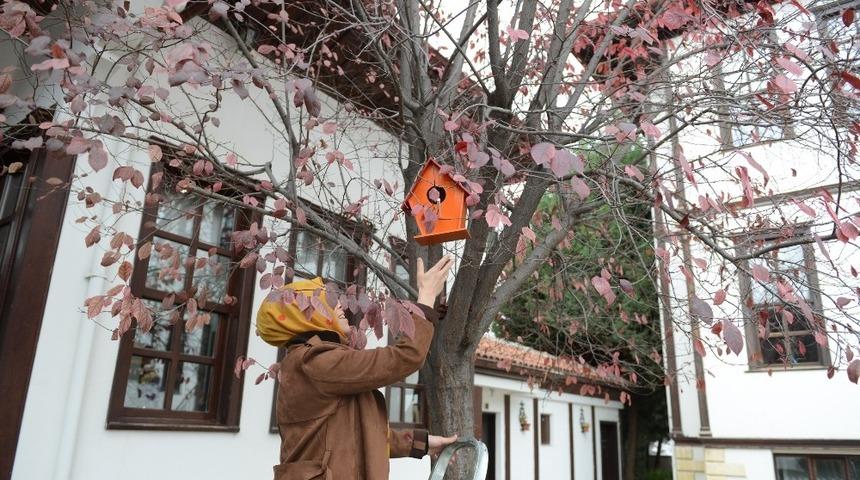 Kadın kursiyerlerden kuşlara renkli yuva
