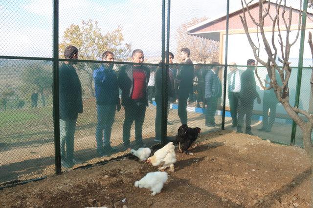 Şırnak’ta yaban hayvanlarının da artık bir evi var