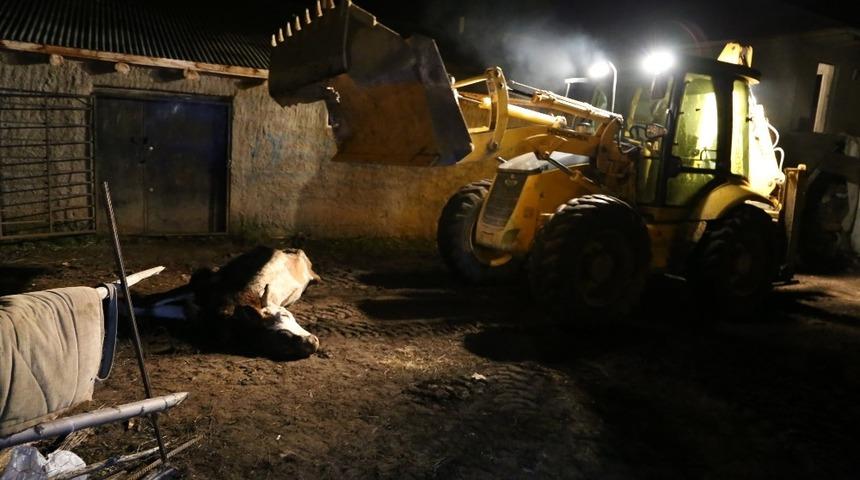 Varto&rsquo;da &lsquo;şarbon&rsquo; alarmı