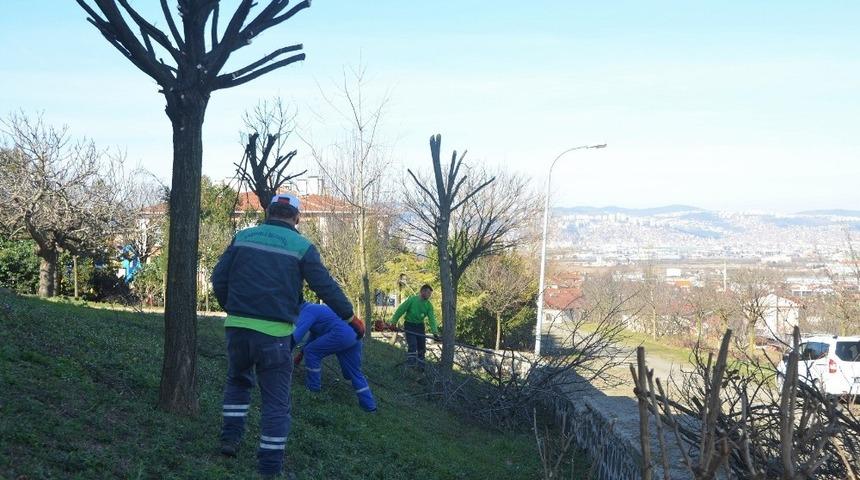 Başiskele&rsquo;de ağa&ccedil;lar kışa hazır