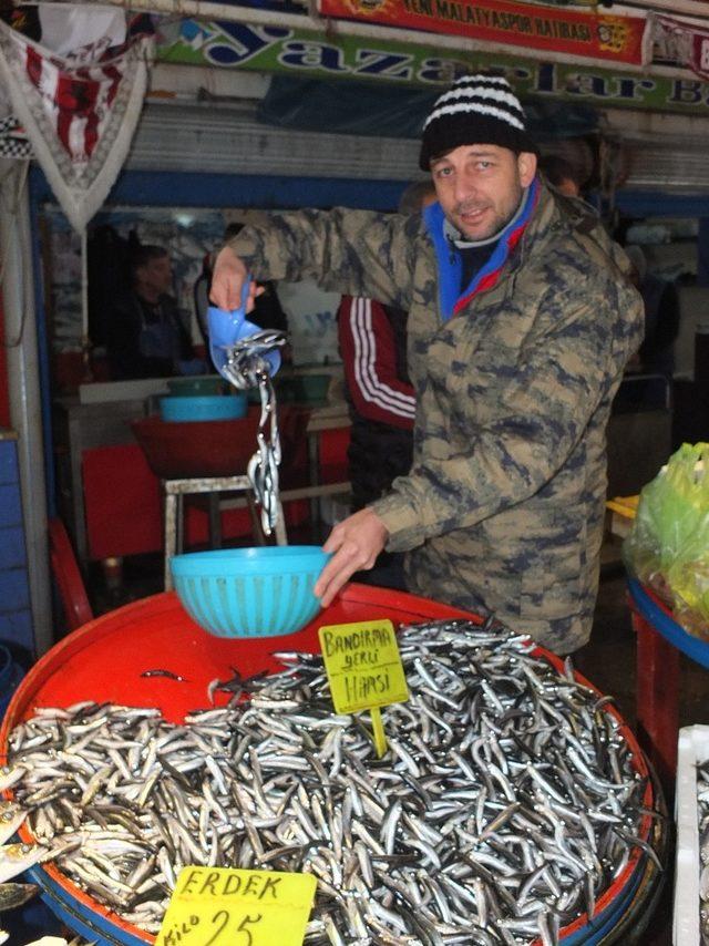 Marmara’da hamsi bereketi