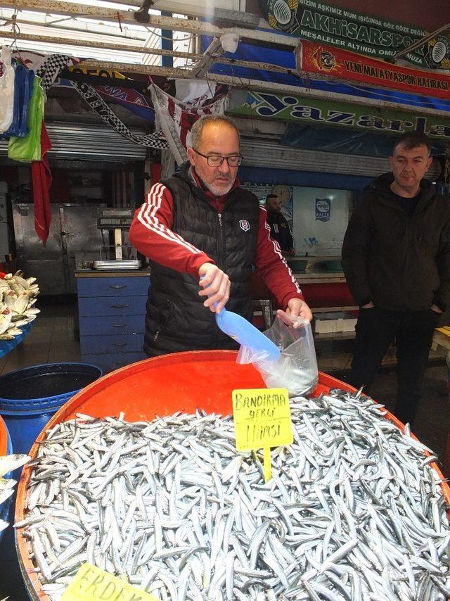 Marmara’da hamsi bereketi