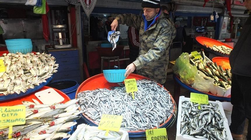 Marmara&rsquo;da hamsi bereketi