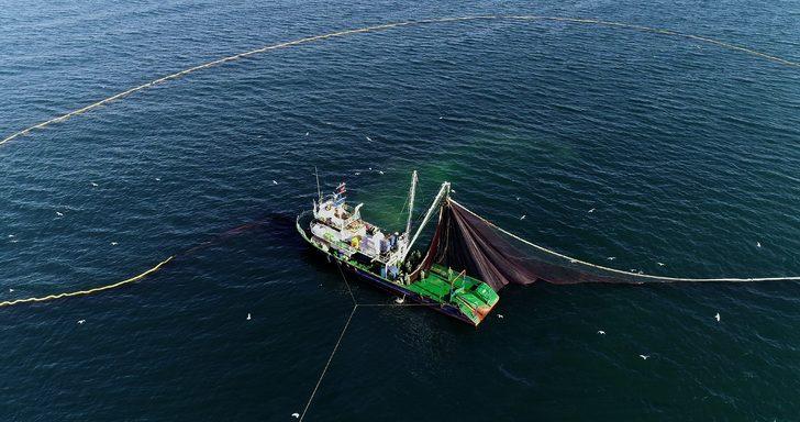 Bu kez hamsinin peşindeler! G1