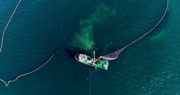 Bu kez hamsinin peşindeler! G2