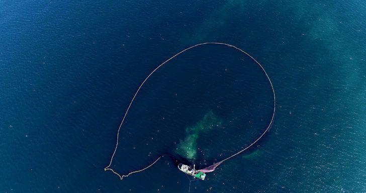 Bu kez hamsinin peşindeler! G3