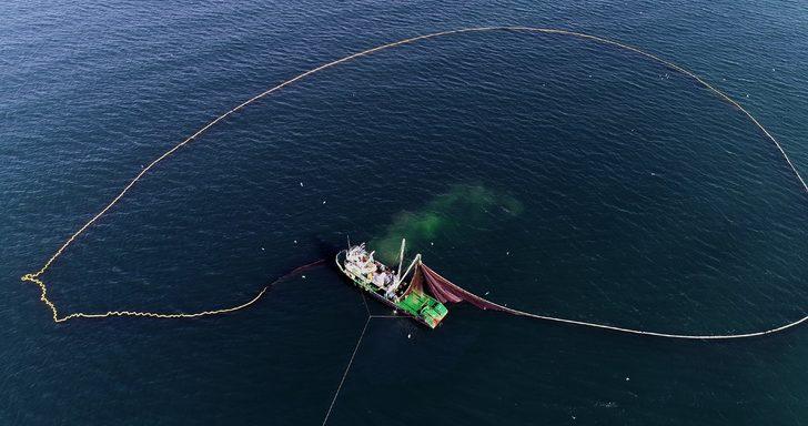 Bu kez hamsinin peşindeler! G4