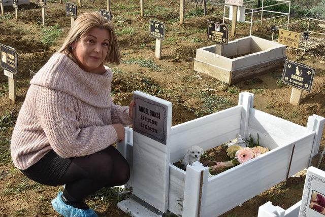 Hollanda'dan, köpekleri 'Angel'ın mezarını ziyaret için geldiler