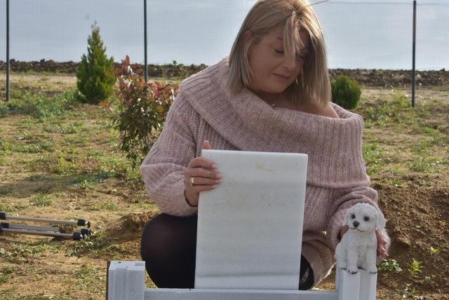 Hollanda'dan, köpekleri 'Angel'ın mezarını ziyaret için geldiler