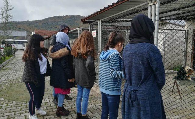 Liselilerden hayvan barınağına mama desteği 1