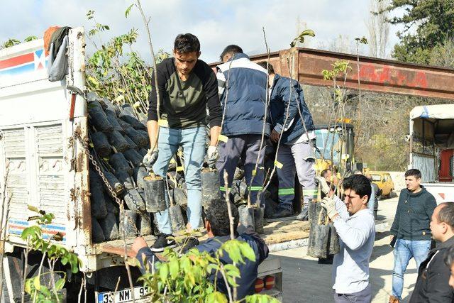 Mersin’de tarıma belediye desteği