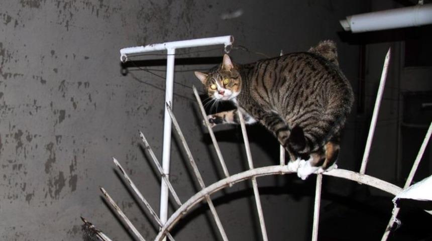 Isparta'da korkunç olay! Balkon demirlerine saplandı