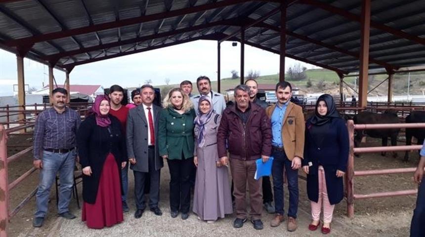 Gen&ccedil; &ccedil;ift&ccedil;ilere 100 baş manda teslim edildi