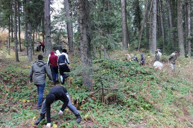 Ilgaz Dağı Milli Parkı’nda “Milli Parkını Temiz Tut” sloganı ile çevre temizliği yapıldı