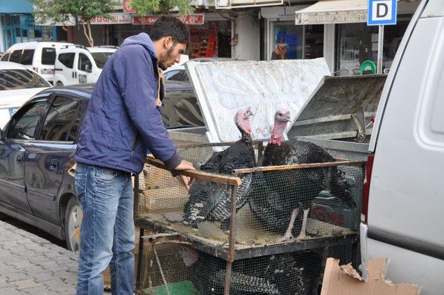 Hindi satışları artmaya başladı