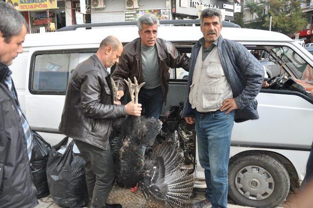 Hindi satışları artmaya başladı