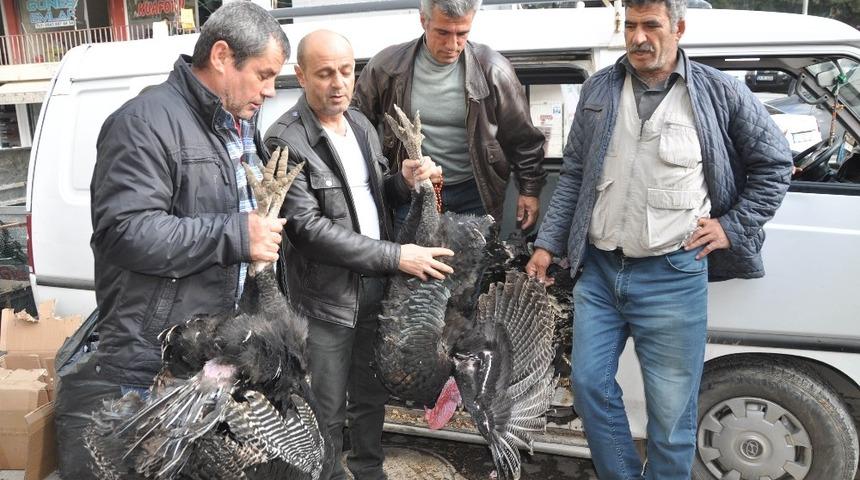 Hindi satışları artmaya başladı