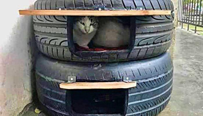 ’Sokaktaki kediler üşümesin’ diye lastikten kedi evi İzmir Haberleri