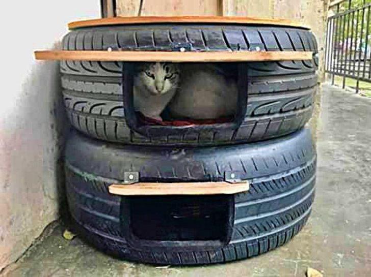 ’Sokaktaki kediler üşümesin’ diye lastikten kedi evi İzmir Haberleri
