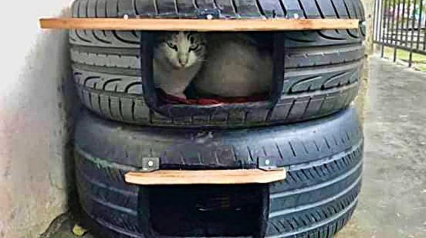 ’Sokaktaki kediler üşümesin’ diye lastikten kedi evi
