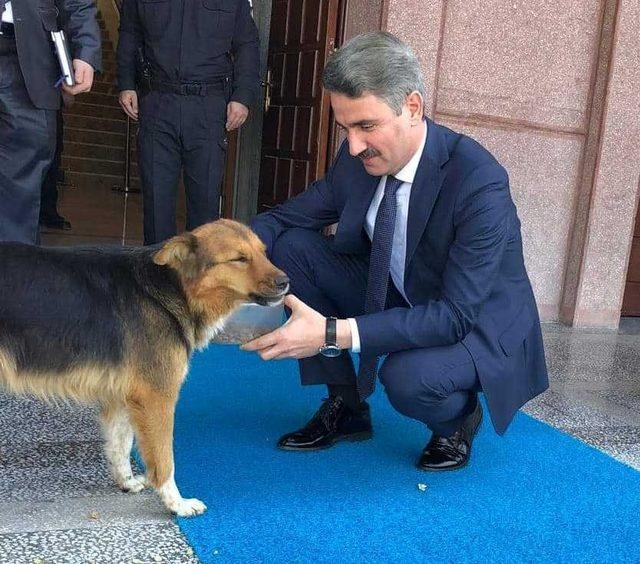 Vali Aydın Baruş’un hayvan sevgisi