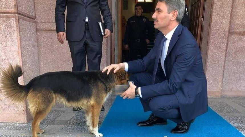 Vali Aydın Baruş&rsquo;un hayvan sevgisi