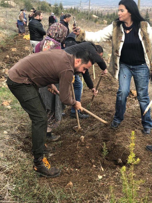 Şehitlerin adını taşıyan fidanlar toprakla buluştu