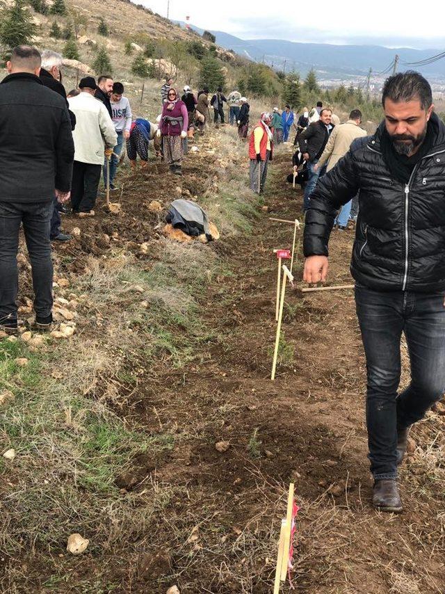 Şehitlerin adını taşıyan fidanlar toprakla buluştu