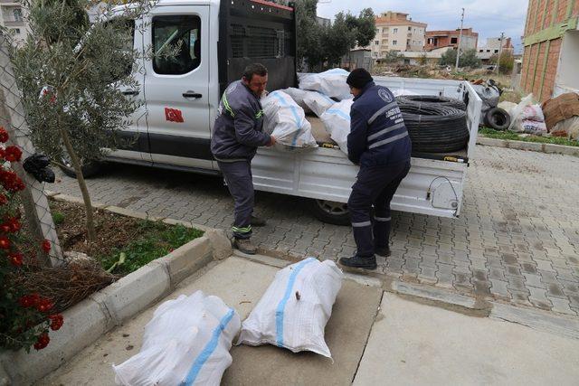 Budanan ağaçlar ihtiyaç sahiplerine yakacak olarak dönüyor