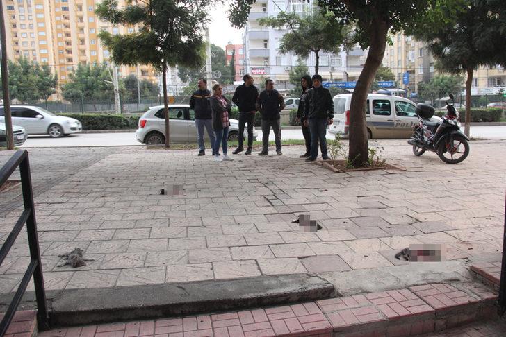 Öldürülen yavrularının başından bir an olsun ayrılmadı G2