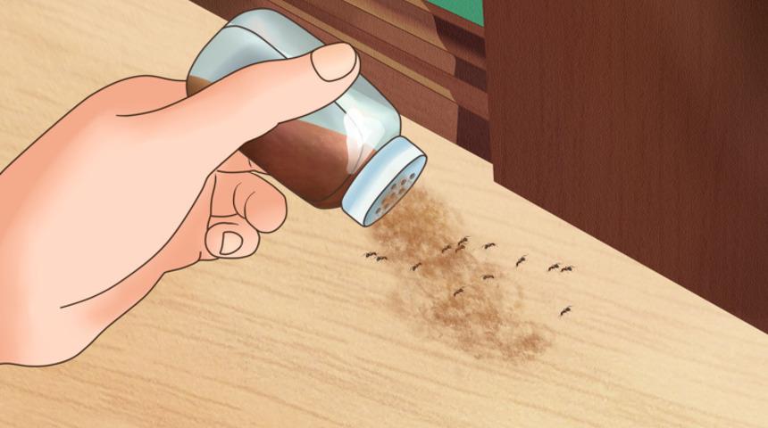 Evinizdeki b&ouml;ceklerden kurtulmanın 7 doğal yolu