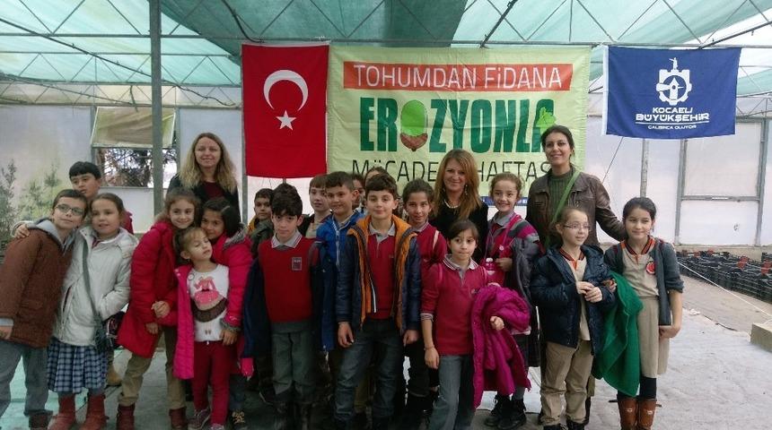 Kartepeli minikler meşe palamudu t&uuml;pledi