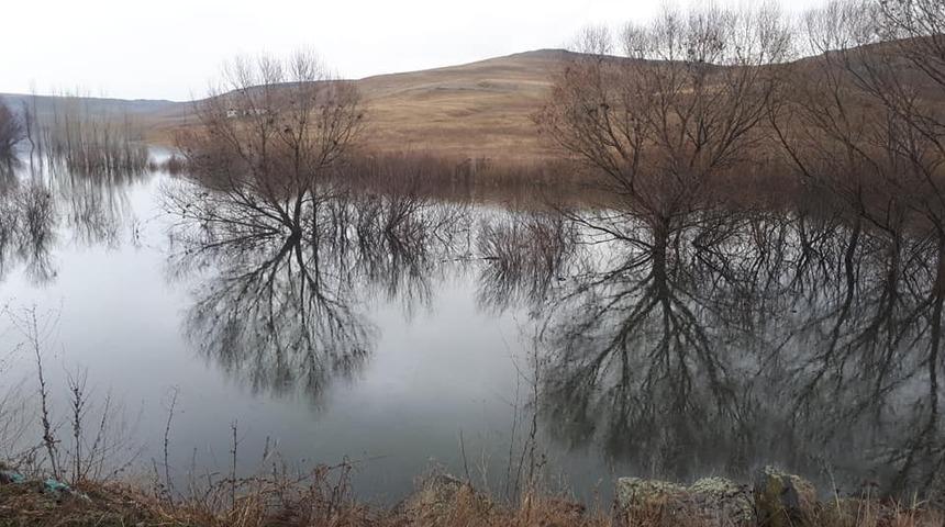 Baraj suları altında kalan ağa&ccedil;lar kirlilik oluşturacak