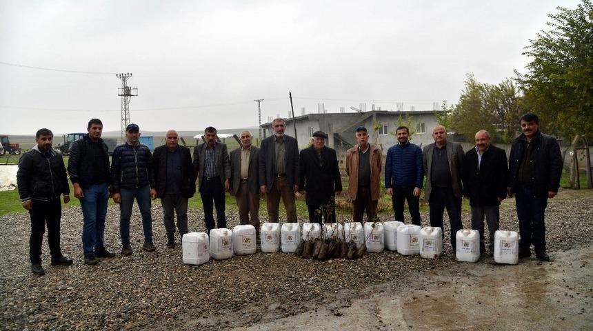 Büyükşehir’den çiftçilere fidan ve gübre desteği