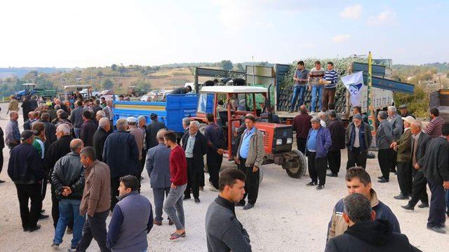 Rektör Çomaklı: “Yeşil dokunun gelişmesi için çalışıyoruz”